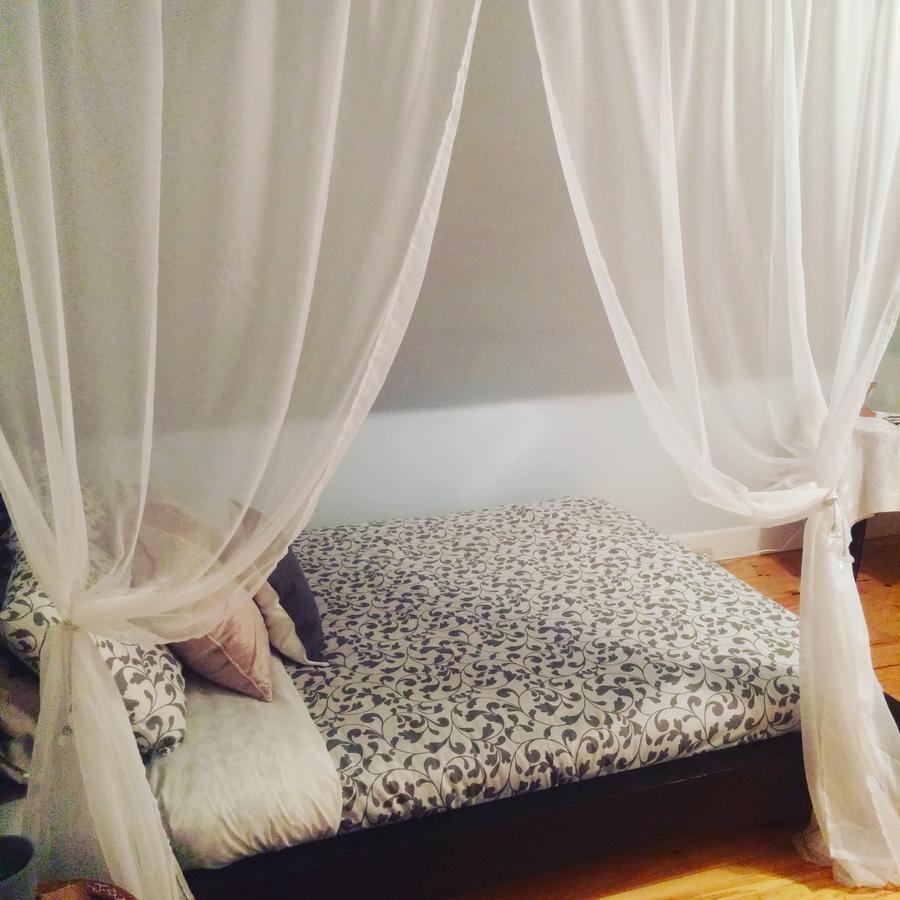 The Cosy Cottage Inn เซนต์จอห์น ภายนอก รูปภาพ
